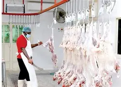 تحرك حكومي للحد من الذبح العشوائي وتعزيز الرقابة البيطرية